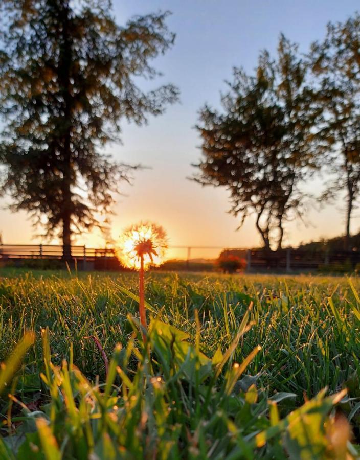 Osada Natura Sliwin Bagian luar foto
